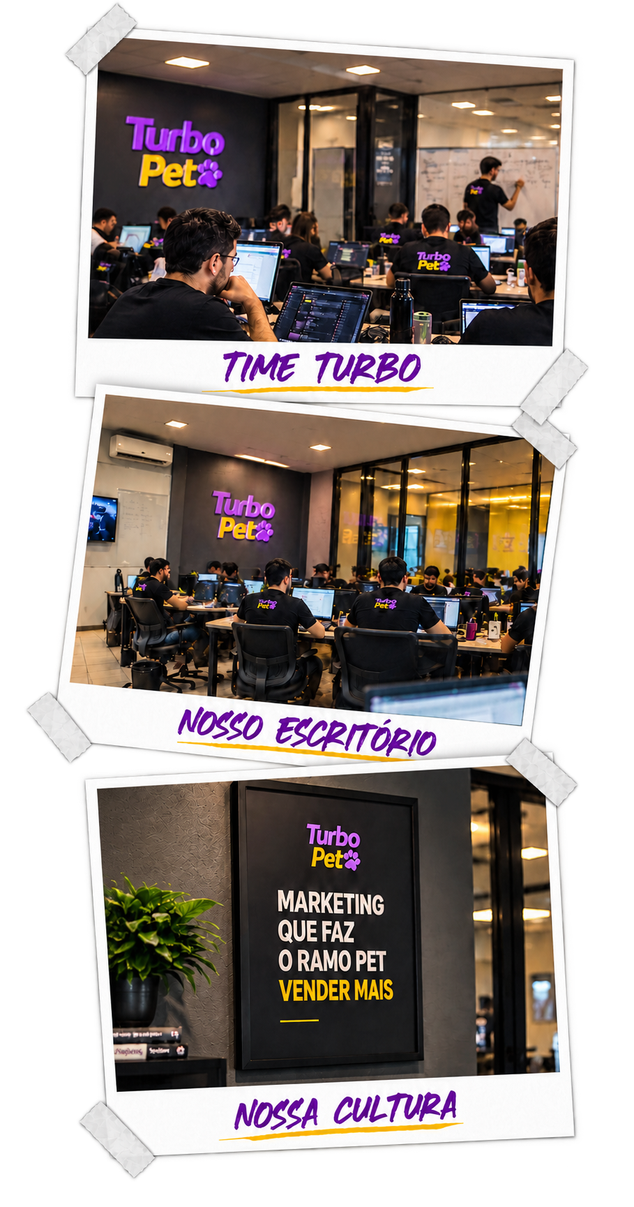 Time, escritório e cultura da Turbo Pet